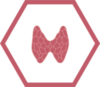 Schilddrüse Icon